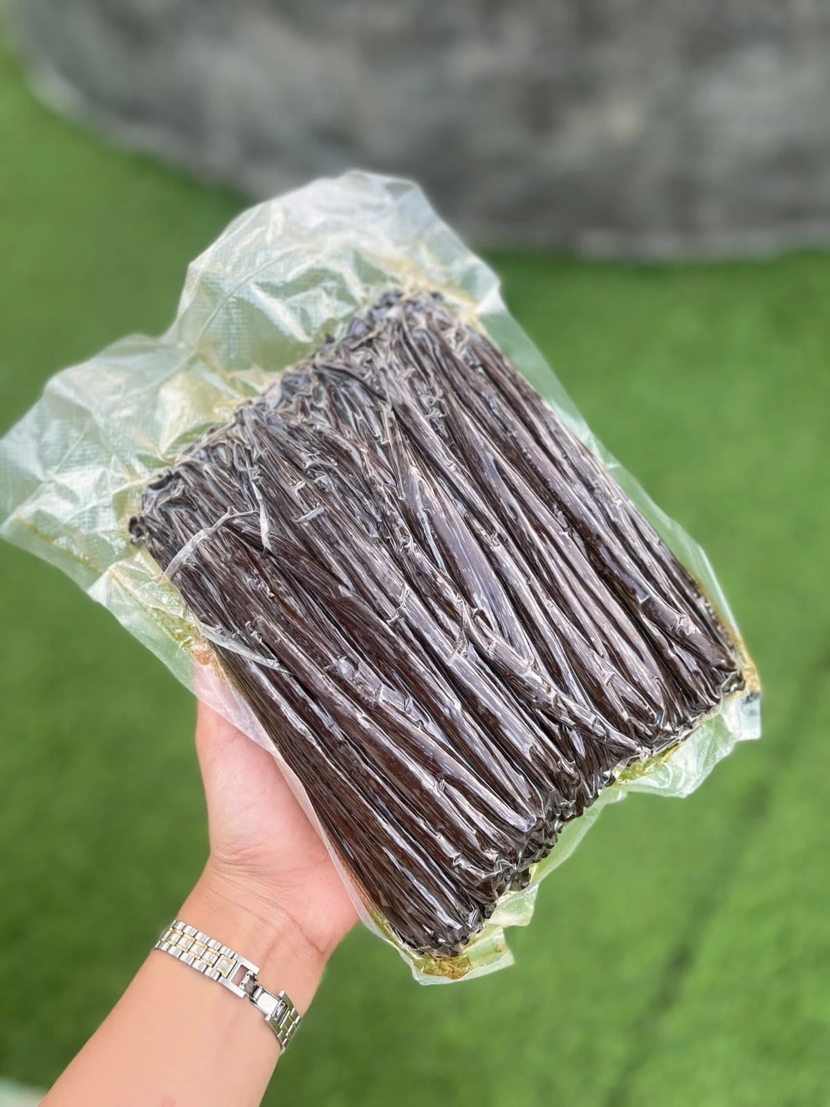 Planifolia vanilla beans held in vacuum packaging